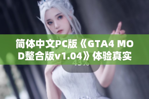 简体中文PC版《GTA4 MOD整合版v1.04》体验真实画质的魅力