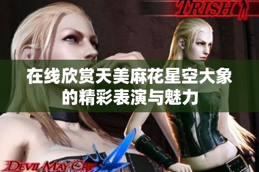 在线欣赏天美麻花星空大象的精彩表演与魅力