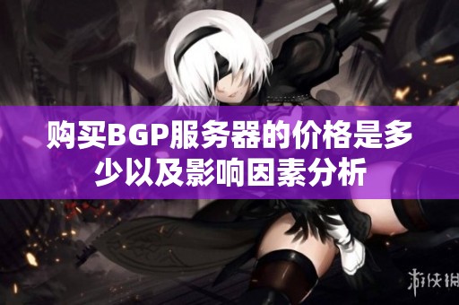 购买BGP服务器的价格是多少以及影响因素分析