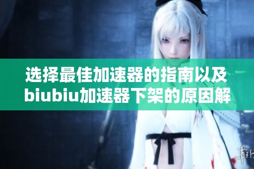 选择最佳加速器的指南以及biubiu加速器下架的原因解析