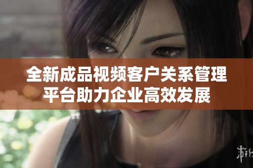 全新成品视频客户关系管理平台助力企业高效发展