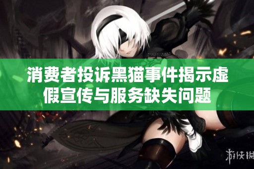 消费者投诉黑猫事件揭示虚假宣传与服务缺失问题