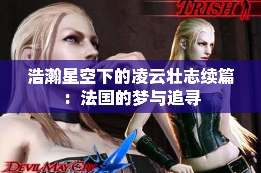 浩瀚星空下的凌云壮志续篇：法国的梦与追寻