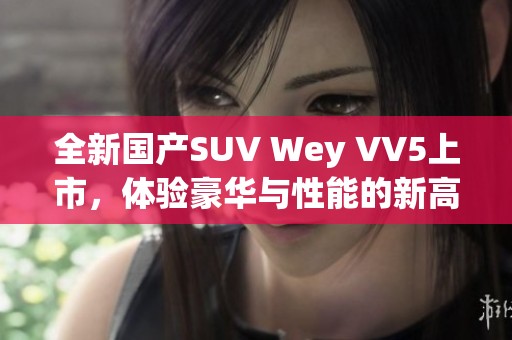全新国产SUV Wey VV5上市，体验豪华与性能的新高度