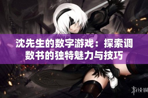 沈先生的数字游戏：探索调数书的独特魅力与技巧