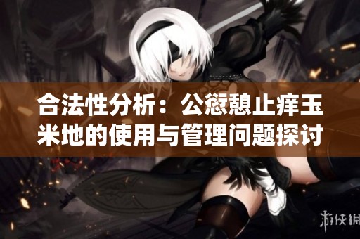 合法性分析：公愆憩止痒玉米地的使用与管理问题探讨