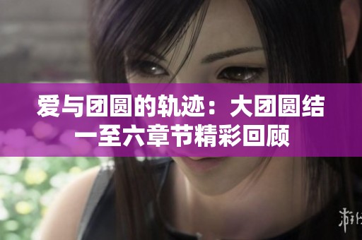 爱与团圆的轨迹：大团圆结一至六章节精彩回顾