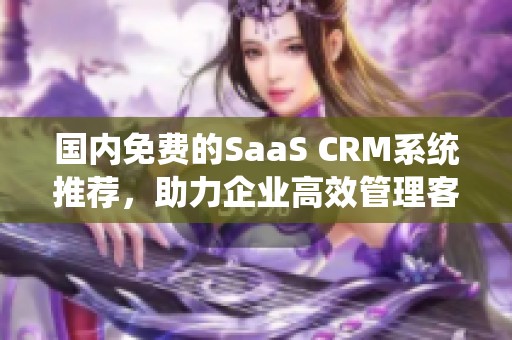 国内免费的SaaS CRM系统推荐，助力企业高效管理客户关系