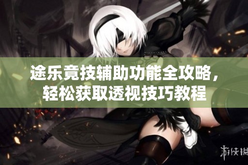 途乐竟技辅助功能全攻略，轻松获取透视技巧教程