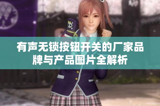 有声无锁按钮开关的厂家品牌与产品图片全解析