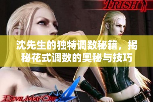 沈先生的独特调数秘籍，揭秘花式调数的奥秘与技巧