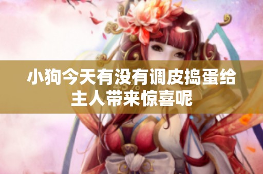 小狗今天有没有调皮捣蛋给主人带来惊喜呢