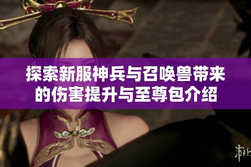 探索新服神兵与召唤兽带来的伤害提升与至尊包介绍