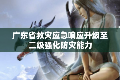 广东省救灾应急响应升级至二级强化防灾能力