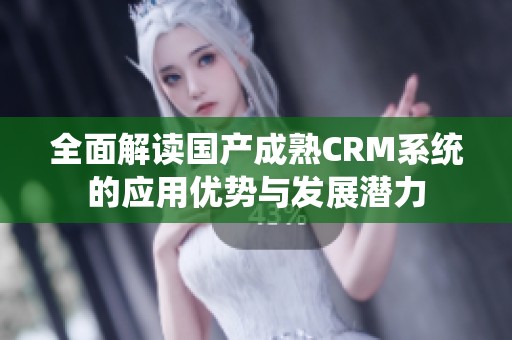 全面解读国产成熟CRM系统的应用优势与发展潜力