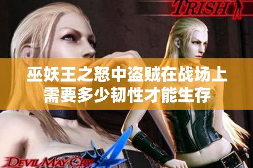 巫妖王之怒中盗贼在战场上需要多少韧性才能生存