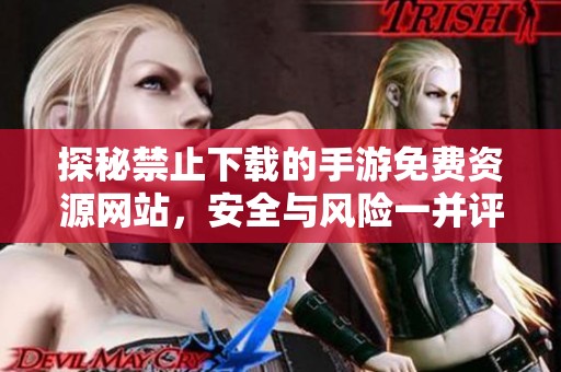 探秘禁止下载的手游免费资源网站，安全与风险一并评估