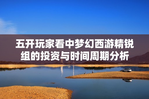 五开玩家看中梦幻西游精锐组的投资与时间周期分析