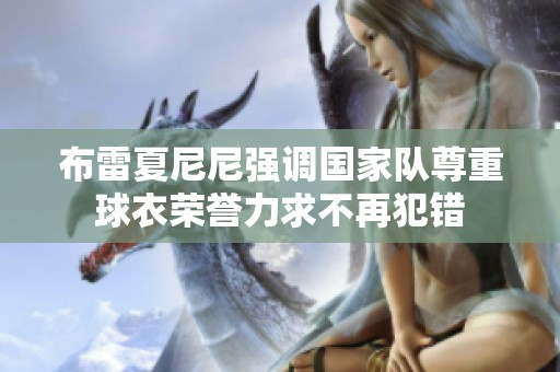 布雷夏尼尼强调国家队尊重球衣荣誉力求不再犯错