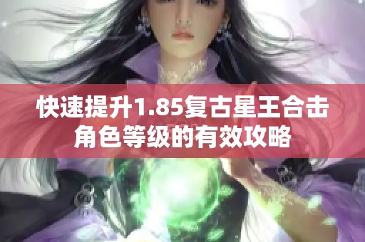 快速提升1.85复古星王合击角色等级的有效攻略