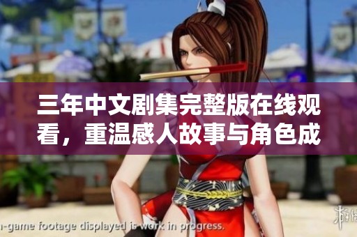 三年中文剧集完整版在线观看，重温感人故事与角色成长