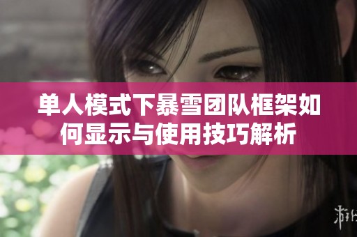 单人模式下暴雪团队框架如何显示与使用技巧解析