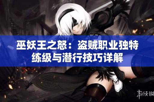 巫妖王之怒：盗贼职业独特练级与潜行技巧详解