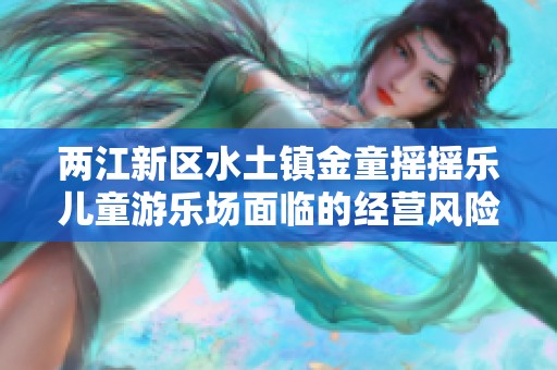 两江新区水土镇金童摇摇乐儿童游乐场面临的经营风险分析