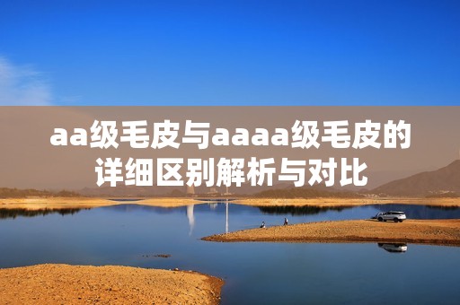 aa级毛皮与aaaa级毛皮的详细区别解析与对比