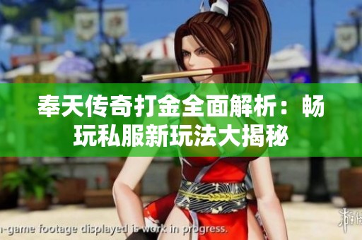 奉天传奇打金全面解析：畅玩私服新玩法大揭秘