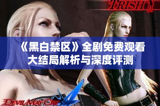 《黑白禁区》全剧免费观看大结局解析与深度评测