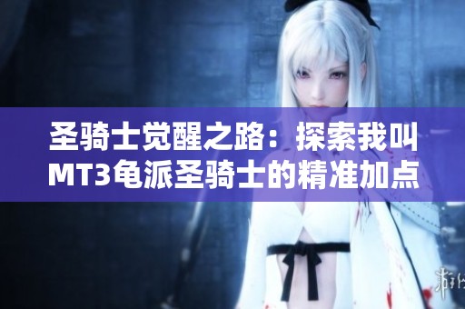 圣骑士觉醒之路：探索我叫MT3龟派圣骑士的精准加点策略