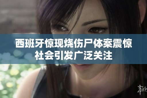 西班牙惊现烧伤尸体案震惊社会引发广泛关注