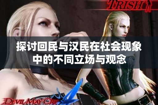 探讨回民与汉民在社会现象中的不同立场与观念