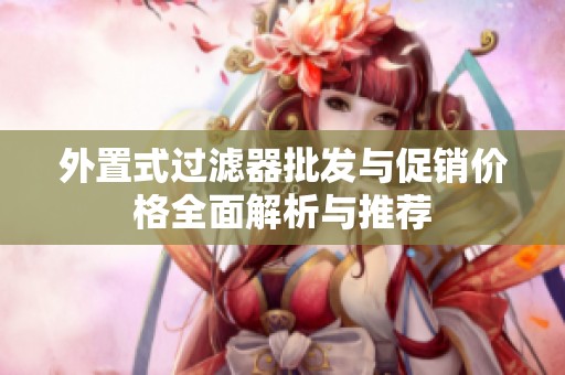 外置式过滤器批发与促销价格全面解析与推荐