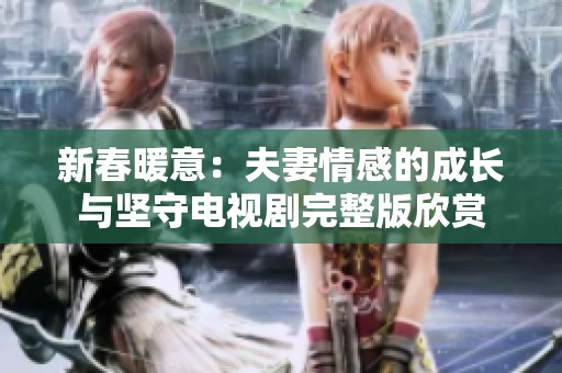 新春暖意：夫妻情感的成长与坚守电视剧完整版欣赏
