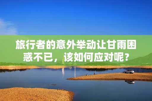 旅行者的意外举动让甘雨困惑不已，该如何应对呢？