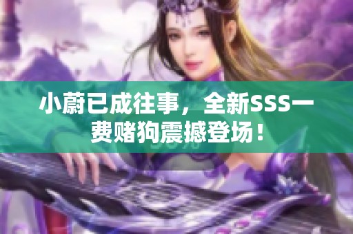 小蔚已成往事，全新SSS一费赌狗震撼登场！