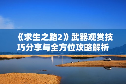 《求生之路2》武器观赏技巧分享与全方位攻略解析