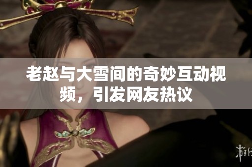 老赵与大雪间的奇妙互动视频，引发网友热议