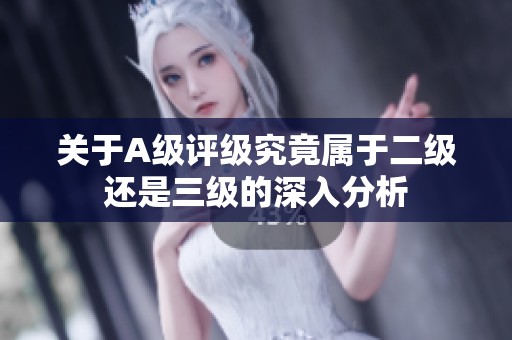 关于A级评级究竟属于二级还是三级的深入分析