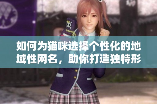 如何为猫咪选择个性化的地域性网名，助你打造独特形象