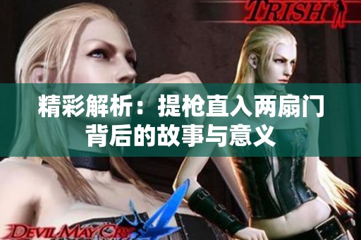 精彩解析：提枪直入两扇门背后的故事与意义