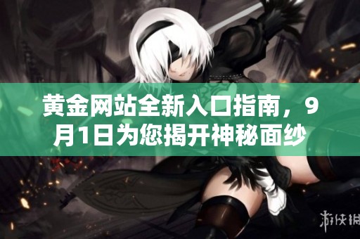 黄金网站全新入口指南，9月1日为您揭开神秘面纱