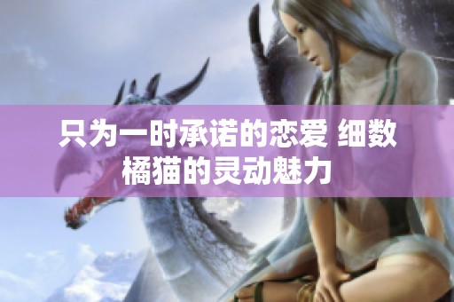 只为一时承诺的恋爱 细数橘猫的灵动魅力