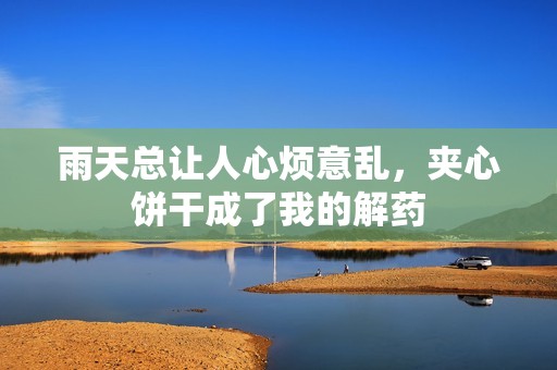 雨天总让人心烦意乱，夹心饼干成了我的解药