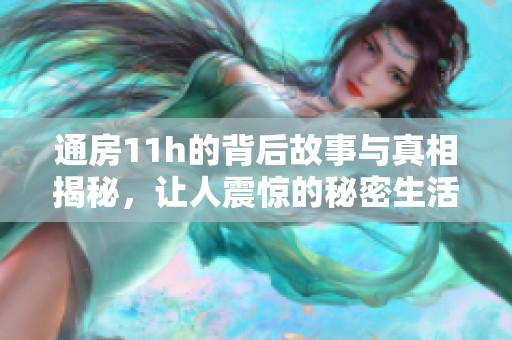 通房11h的背后故事与真相揭秘，让人震惊的秘密生活