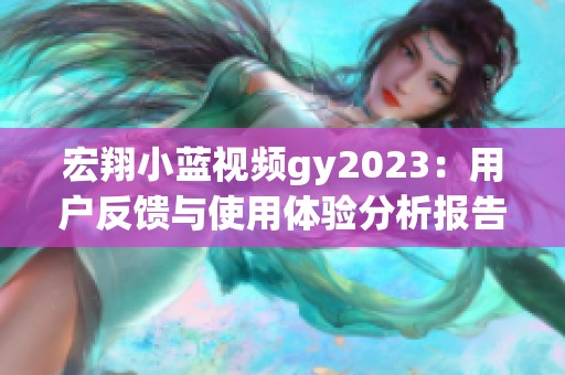 宏翔小蓝视频gy2023：用户反馈与使用体验分析报告