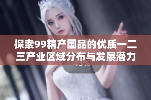 探索99精产国品的优质一二三产业区域分布与发展潜力
