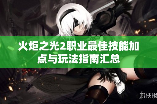 火炬之光2职业最佳技能加点与玩法指南汇总